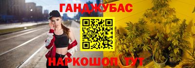 хмурый Дубна