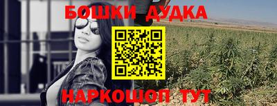 хмурый Дубна