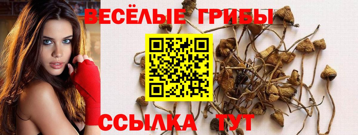 Псилоцибиновые грибы прущие грибы Снежинск