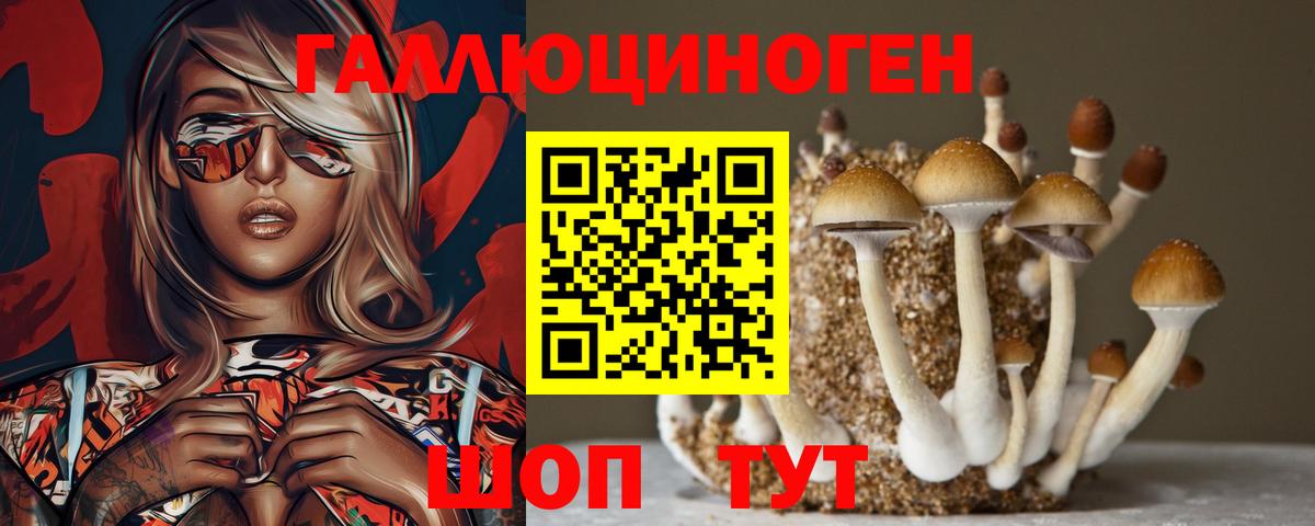 Псилоцибиновые грибы прущие грибы  Вход с VPN  Снежинск 